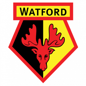 DLS Watford FC Logo PNG