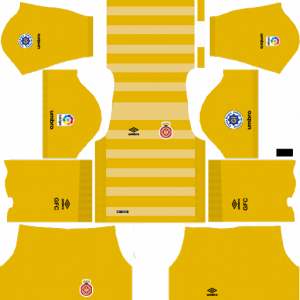 dls jersey kit