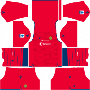 Dream League Soccer DLS 512×512 Hellas Verona FC GoalKeeper Third Kits