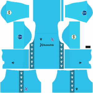 Dream League Soccer DLS 512×512 SC Heerenveen Third Kits